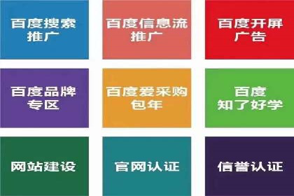 百度竞价代运营实战：某电商平台的销量翻倍秘诀